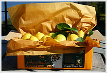 Assorted Lemon 3kg